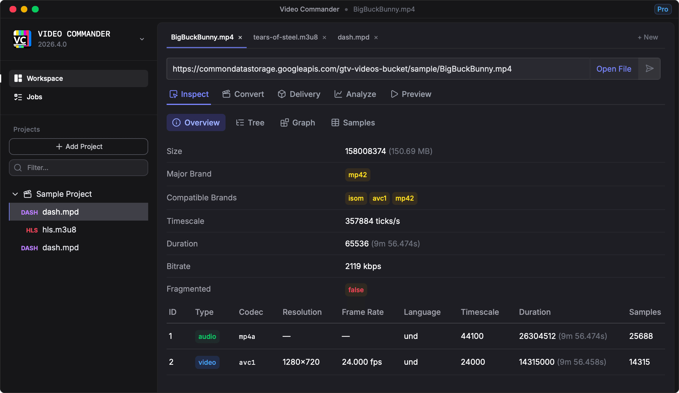 Video Commander screenshot showing the inspect overview