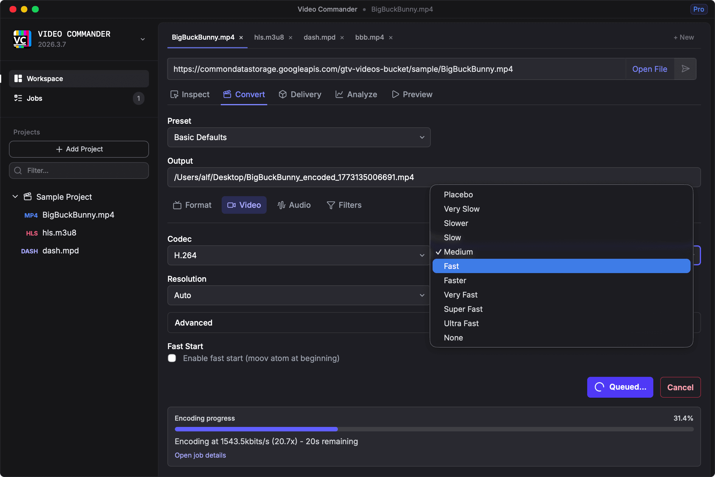 Convert view showing codec and format options