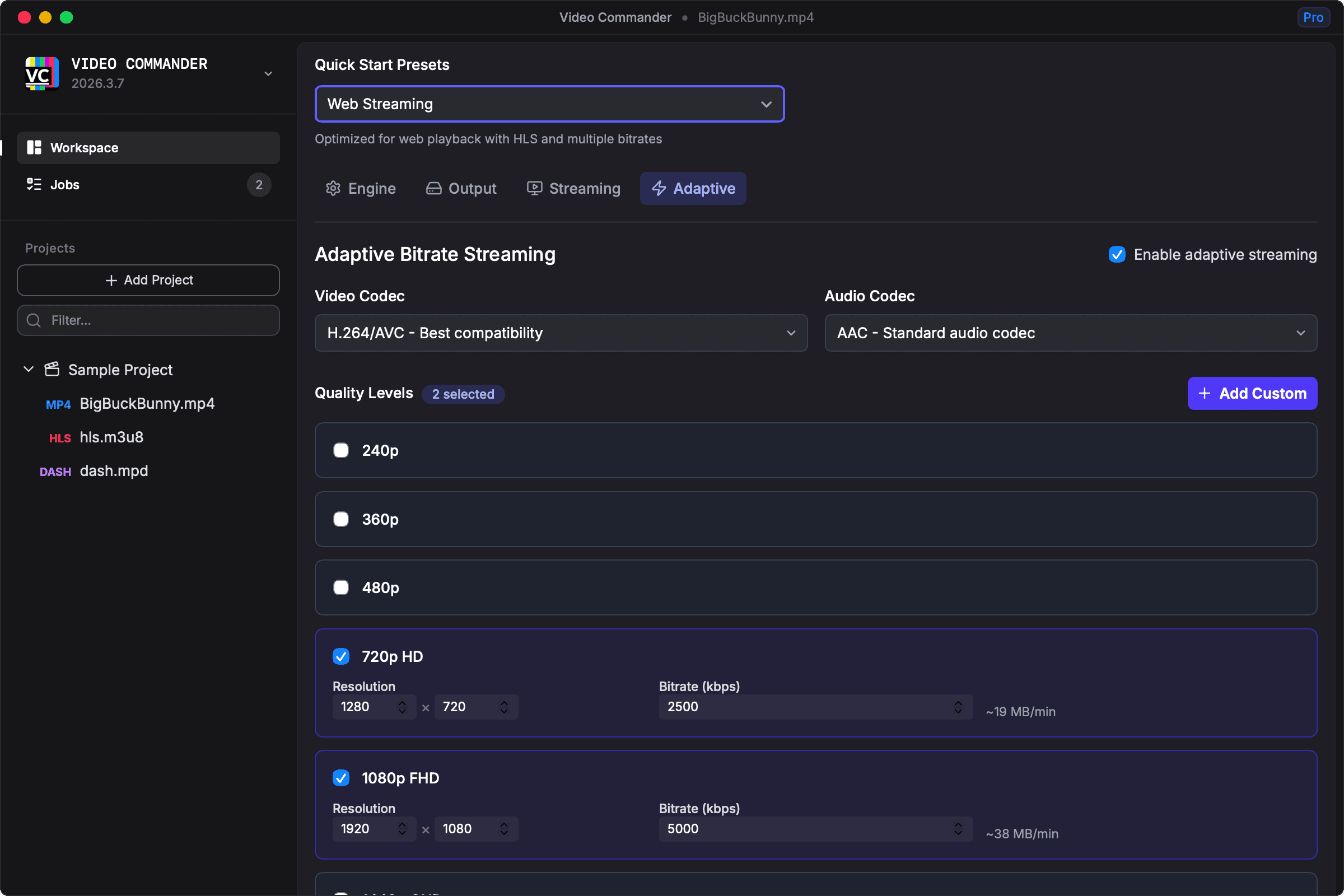 Delivery view showing adaptive bitrate packaging