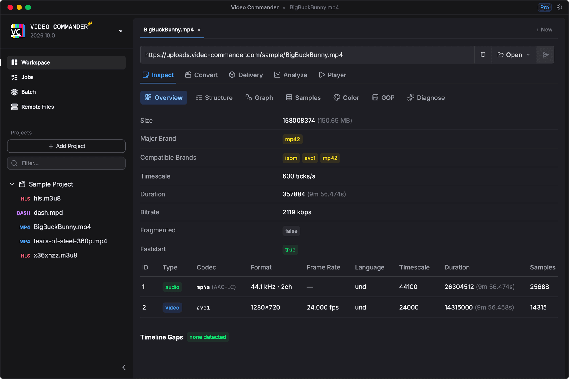 Video Commander screenshot showing the inspect overview